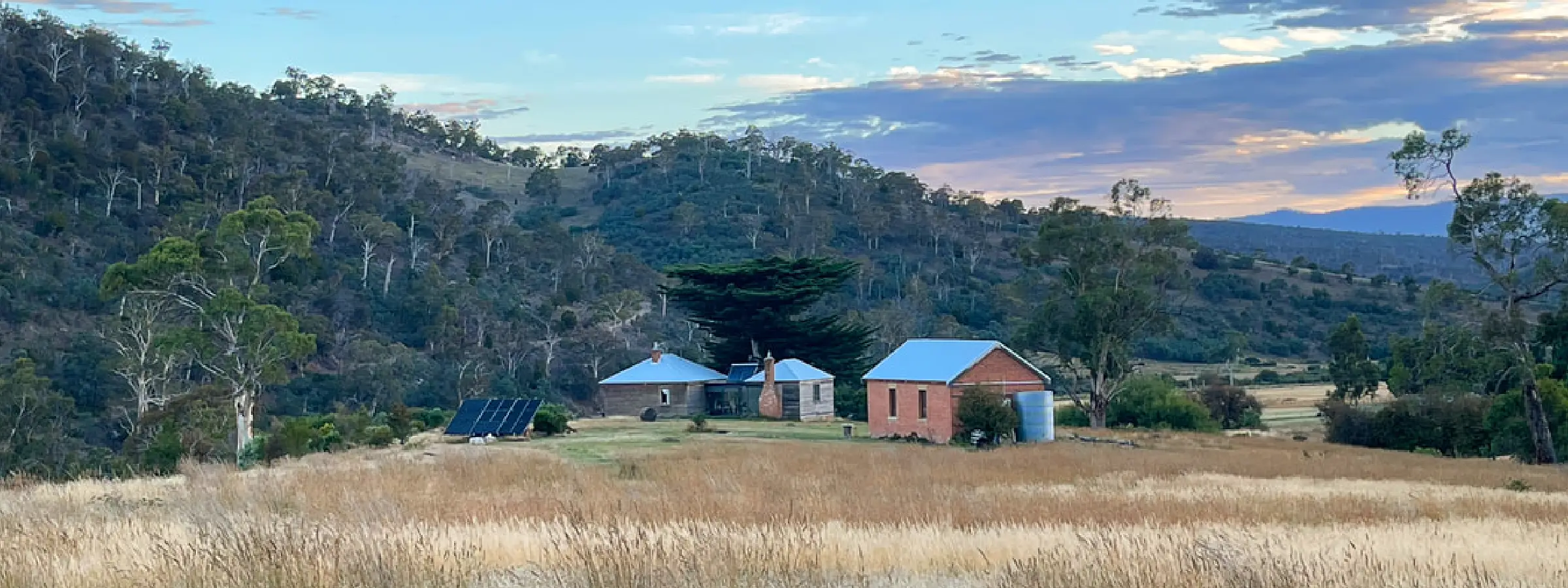 Rural Tasmanian landscape with forested hills